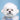 Pet Studio