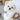 SOSODORI - MINI BICHON